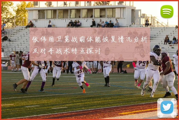张伟丽卫冕战前体能恢复情况分析及对手战术特点探讨